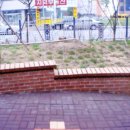 복수계룡 이미지