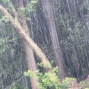 草堂雨中睡 - 李奎報