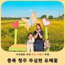 풀;꽃;나무 | 청주 무심천 유채꽃 이팝나무 실시간 후기- 5월 충북 아이동반 나들이 추천