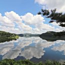 민들레숲협동조합 이미지