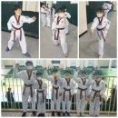 서산태권도체육관 이미지
