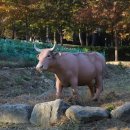 풍경 조형물 이미지