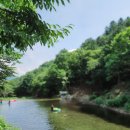 맑은산장농원 이미지