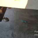 삼성카공업사 이미지