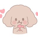 페리토리 이미지