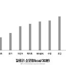 컴벳다이어트짐 이미지