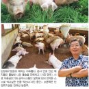 농원축산 이미지