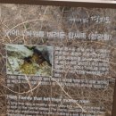 허씨며느리비 이미지