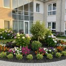 서울특별시 구로구 치매안심센터 이미지