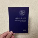 추억가득한 강아지여권 고양이여권 체험 리뷰