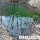 맑은물농원 네이버블로그