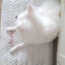 마브 주식회사 이미지