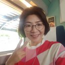 KTX에서 먹은 점심 한 상! 잘먹었습니다♡