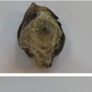 이성수한의원 이미지