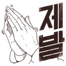 바로체태권도 이미지
