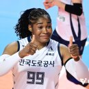 모마 연합뉴스