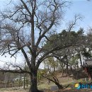 애향동산 이미지