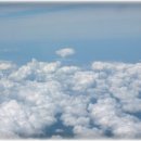 카페비스타 이미지