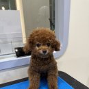 Mong's(몽'스) 이미지