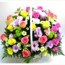 산호동208 이미지