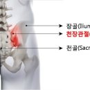 싯디요가협동조합