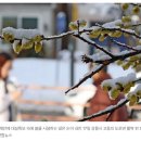 2025년 첫 노가다, 인력소 일당은 얼마일까? 이미지