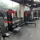 피트니스382 이미지