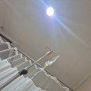 푸라닭신음점 | [주간일기] 8월 둘째주 | 자궁외임신 복강경수술 입원후기