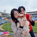 데이도그 Daum카페
