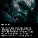 (주)코어 이미지