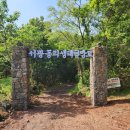 서광2교차로 1 | 서광곶자왈에서 함께한 2026 지속가능 제주 환경...11-12강) 생생한 현장 후기! (feat. 이가은 강사님)