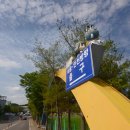 조양곡물 이미지