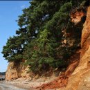 도성마을회관 이미지