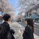 카페미뇽 합정점