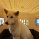 체육공원로 이미지