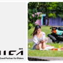 걸재천로 이미지