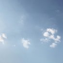 해밀인터내셔널 네이버블로그