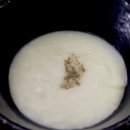 전북군산지역자활센터(오늘뭐멍) | 군산 월명동 안주맛집 월미당(고기김치치즈전, 육전, 파전,악양막걸리, 영업시간, 위치, 메뉴, 꿀팁)