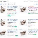 자산로 | 하이마트 김천점 I 추석맞이 안마가전 선물 BEST 안내