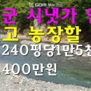 옥천임업