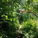 공작산 휴양림 펜션 이미지