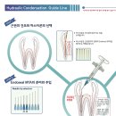 서하플란트치과
