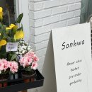[목동꽃집/양천구꽃집] 손화플라워스튜디오 : 꽃다발 후기!