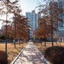 강당말공원 이미지