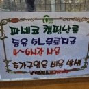 강화돌담캠핑&글램핑