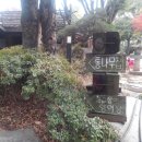 용문산푸른공원 이미지