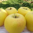 쌍둥이농장 이미지