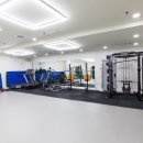 골드 레슬링 태릉 이미지