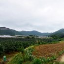 기북면사무소 이미지