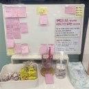 씨유펫오산 - 오산시 운암로 35 | 없는게 없는 오산애견용품 씨유펫 오산시청점